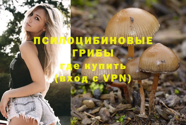 твердый Касимов