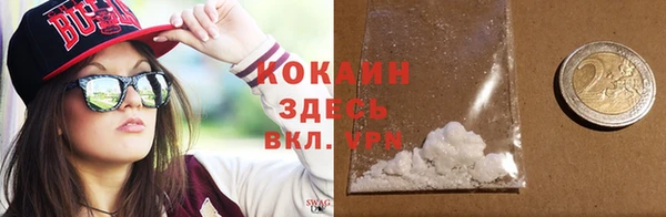 твердый Касимов