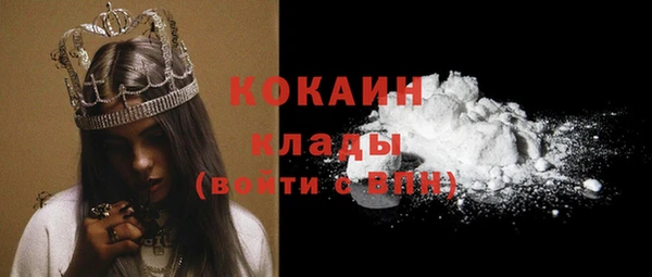 твердый Касимов