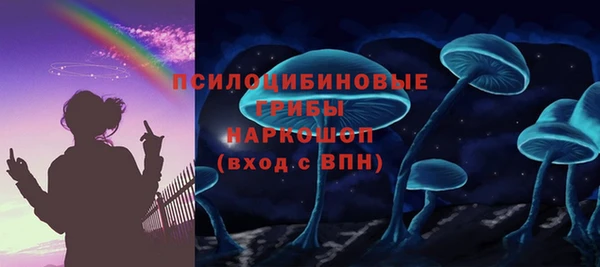 твердый Касимов