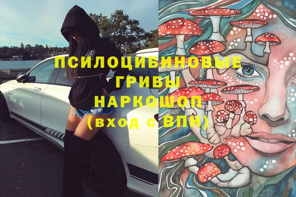 гидра Киренск
