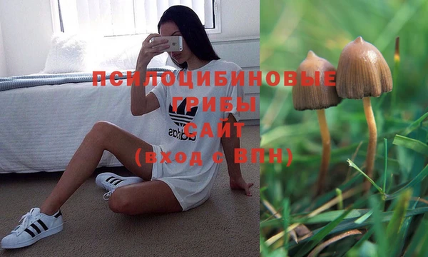 твердый Касимов