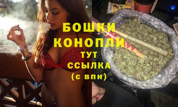 прущие грибы Козельск
