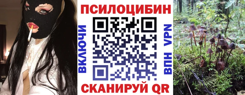 Купить закладки  Анадырь  Галлюциногенные грибы MAGIC MUSHROOMS 